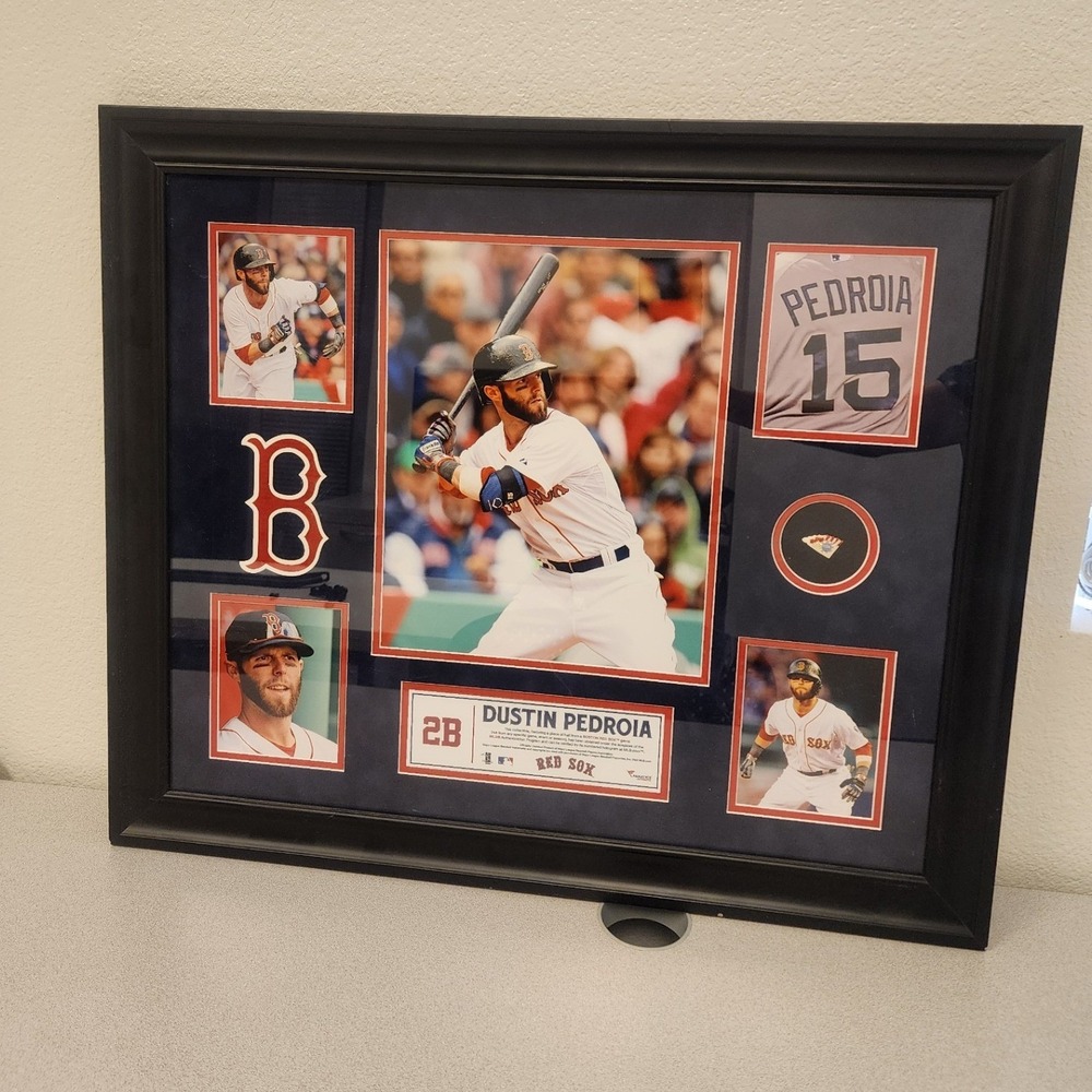 Dustin Pedroia Boston Red Sox Fanatics Framed Collage Game Used Baseball Relic